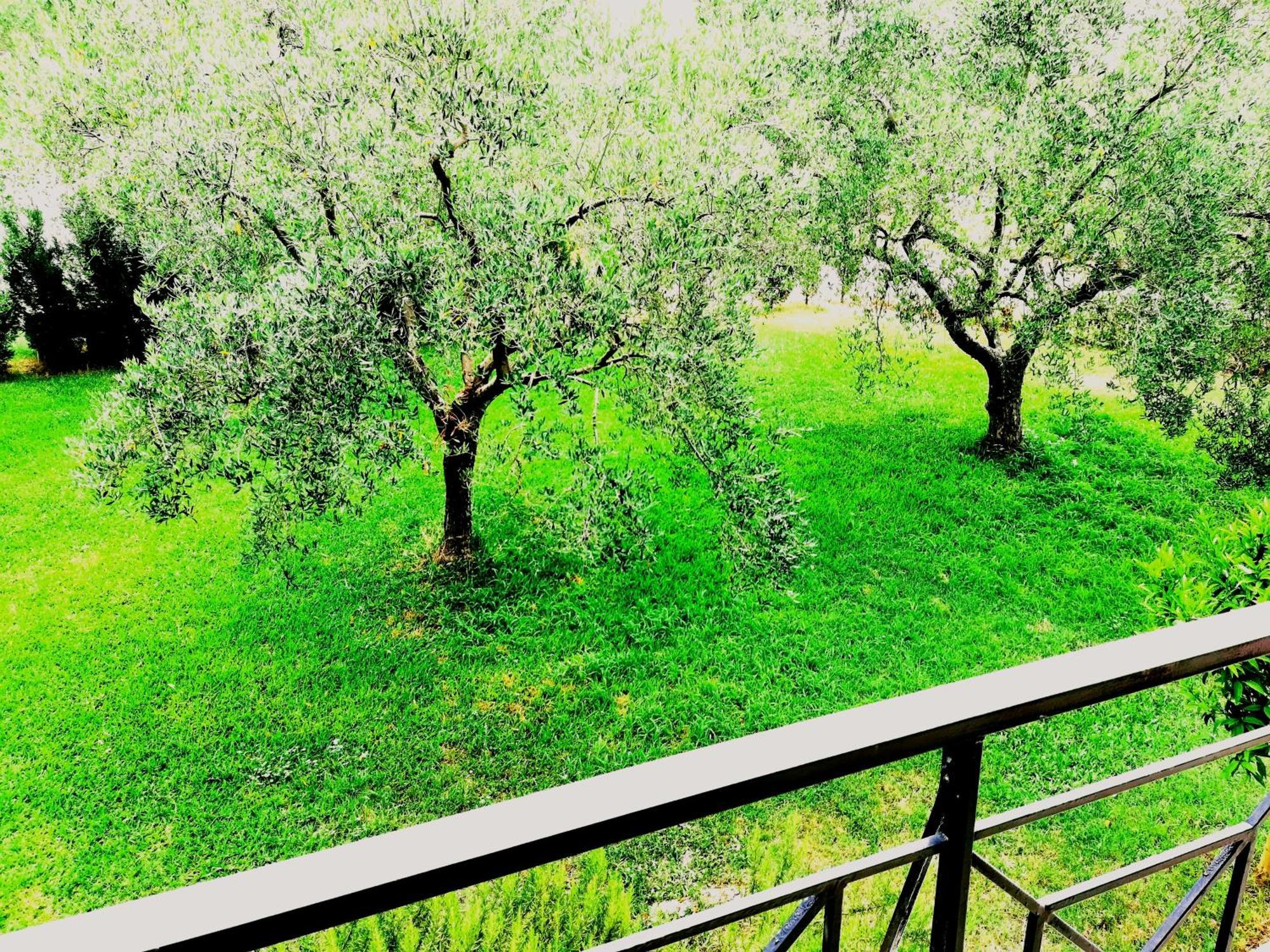 Giorgos Apartments Skála Foúrkas Екстериор снимка